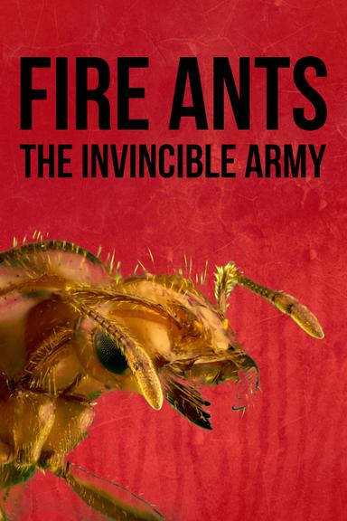 Fire Ants 3D: The Invincible Army poster