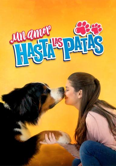 Un amor hasta las patas poster