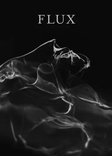 Flux poster