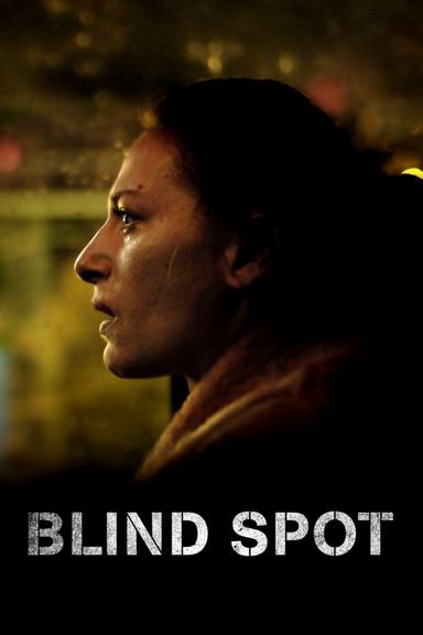 Blind Spot poster