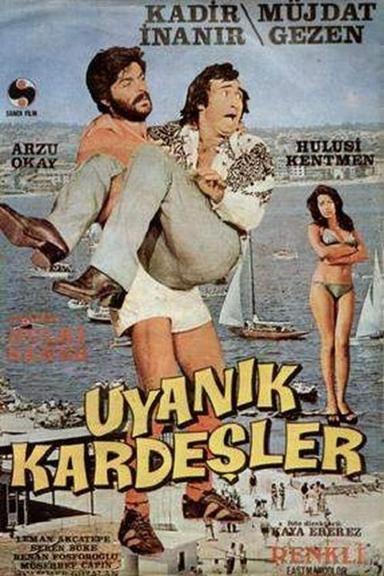 Uyanık Kardeşler poster