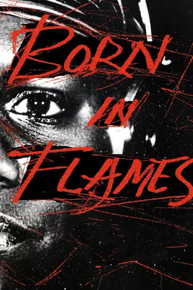 Born in Flames poster