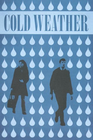 Cold Weather poster