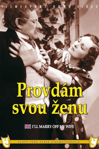 Provdám svou ženu poster