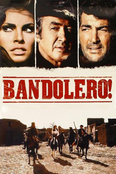 Bandolero! poster