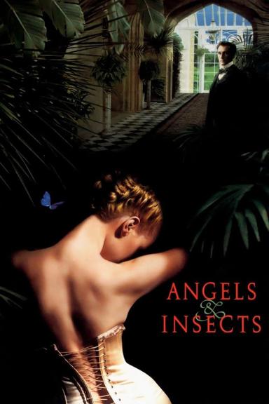 Angels and Insects poster