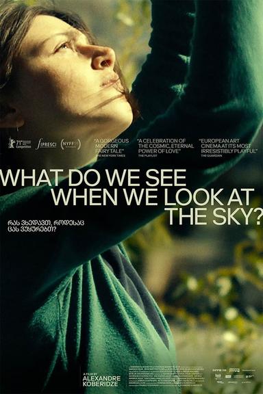 What Do We See When We Look at the Sky? poster