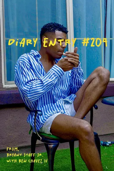 Diary Entry #204 poster