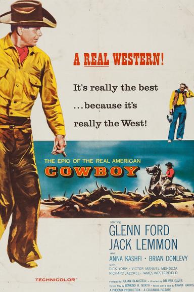 Cowboy poster