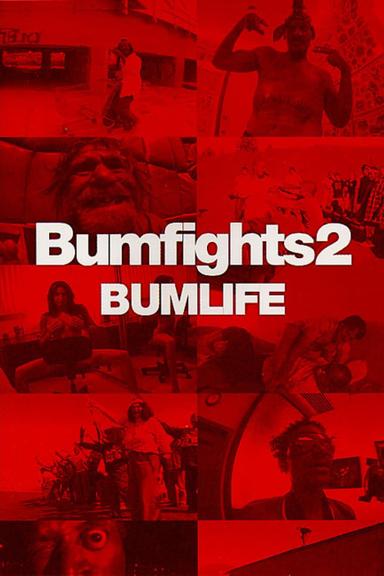 Bumfights Vol. 2: Bumlife poster