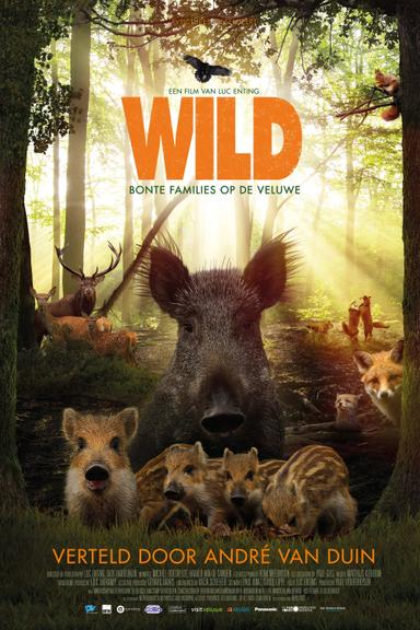 Wild poster