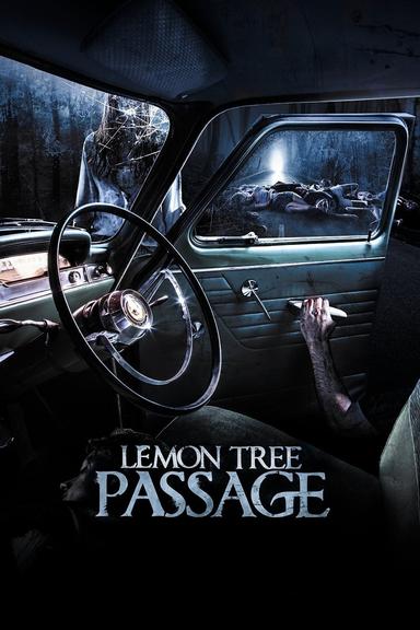 Lemon Tree Passage poster