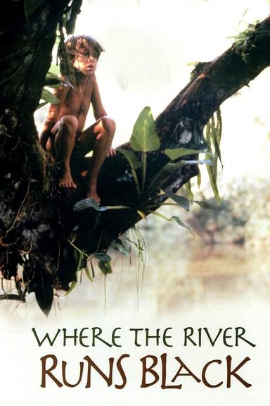 Where the River Runs Black poster