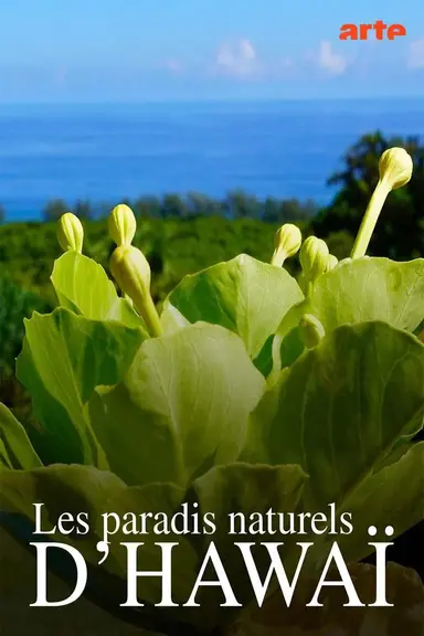 Hawaiis versteckte Paradiese poster