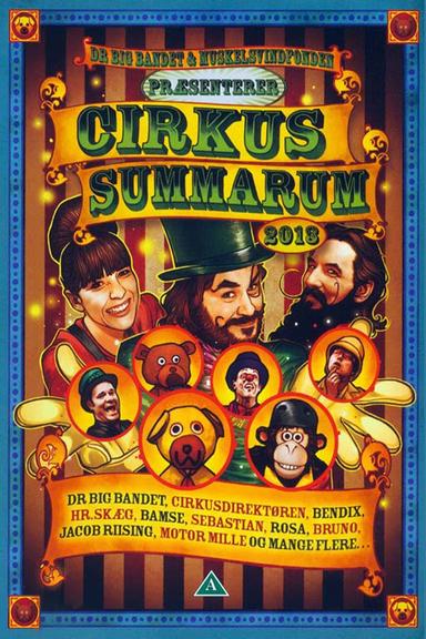 Cirkus Summarum 2013 poster