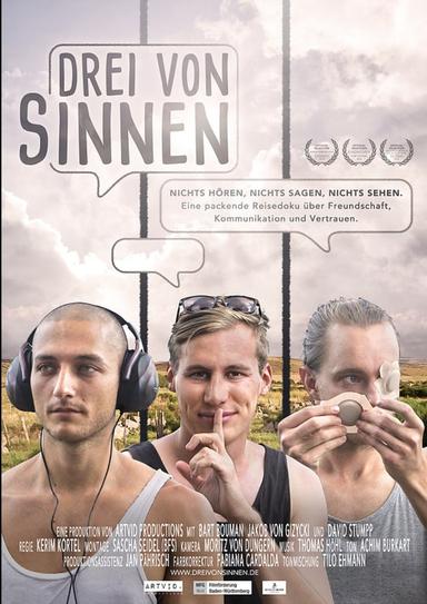 Drei von Sinnen poster