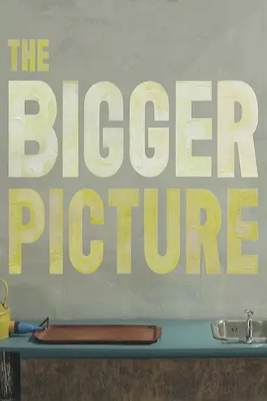 The Bigger Picture poster