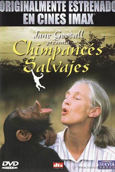 Imax - Chimpances Salvajes poster