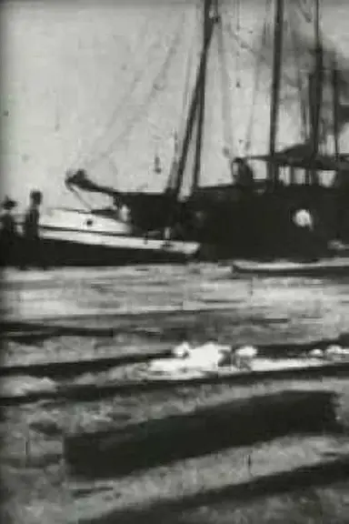 Bird's-Eye View of Dock Front, Galveston poster