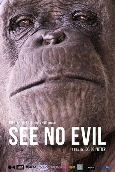 See No Evil poster