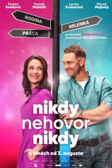 Never Say Never poster
