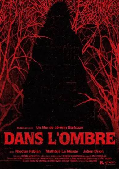 Dans l’ombre poster