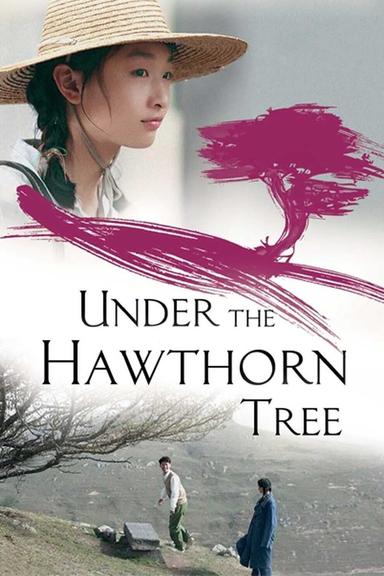 Under the Hawthorn Tree poster