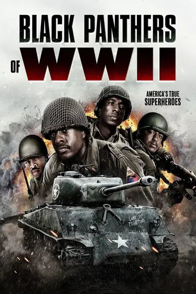 Black Panthers of WWII poster