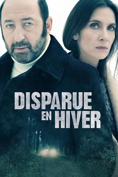 Disappeared in Winter poster