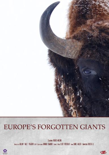 Europe´s Forgotten Giants poster
