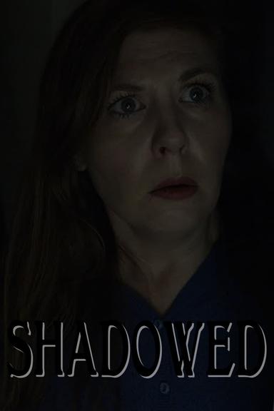 Shadowed poster