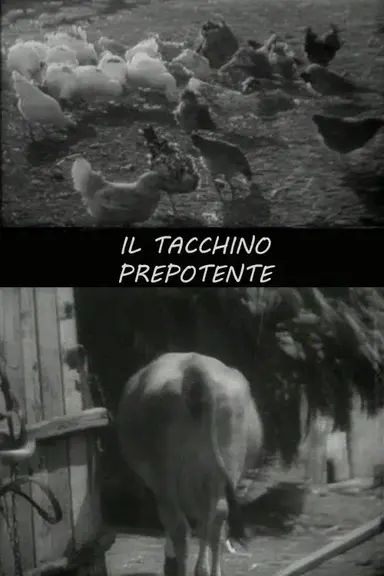 Il tacchino prepotente poster
