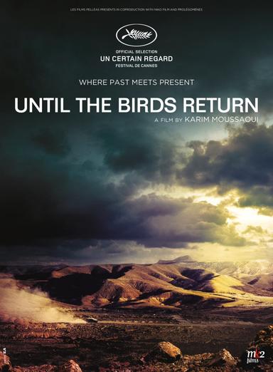 Until The Birds Return poster