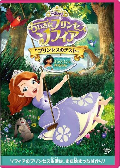 Sofia The First: Ready To Be A Princess poster