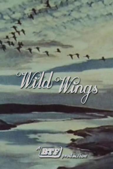 Wild Wings poster