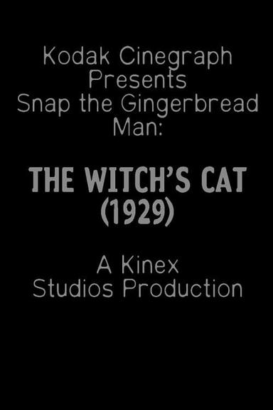 The Witch's Cat poster