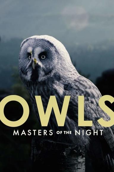 Owls: Masters of the Night poster