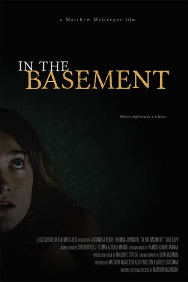 In the Basement poster