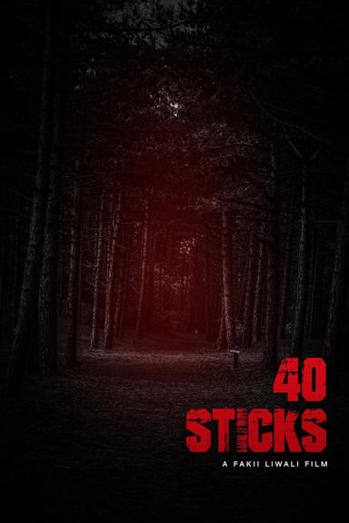 40 Sticks poster