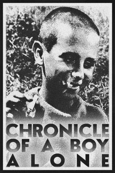 Chronicle of a Boy Alone poster