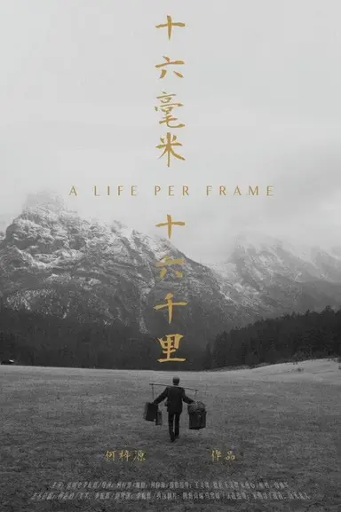 A life per frame poster