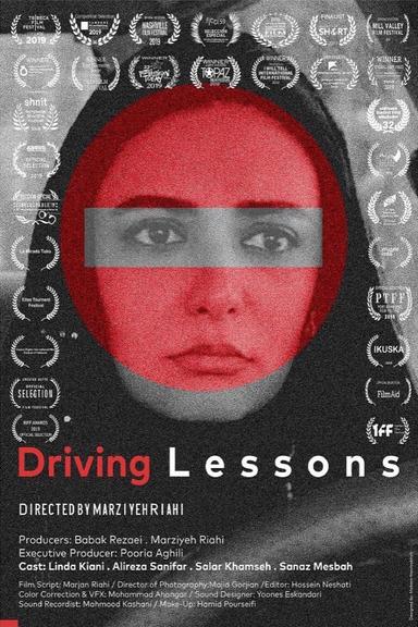 Driving Lessons poster