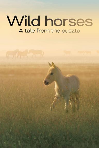 Wild Horses - A Tale From The Puszta poster