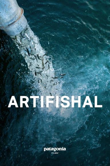 Artifishal poster