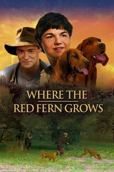 Where the Red Fern Grows poster