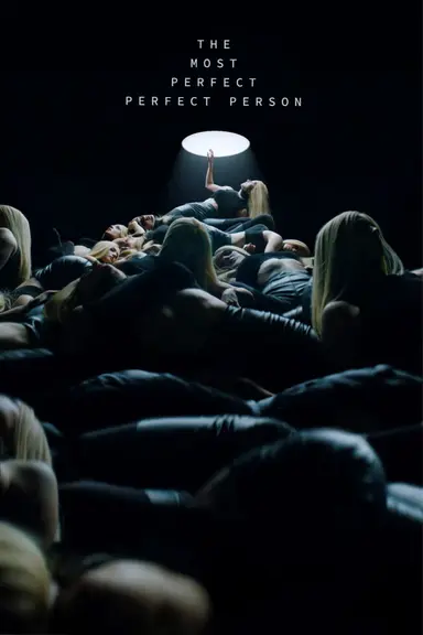 The Most Perfect Perfect Person poster