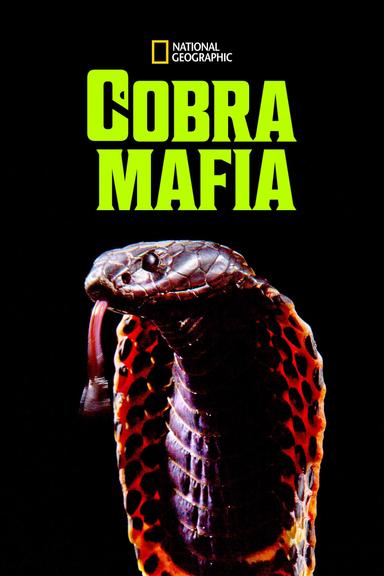 Cobra Mafia poster