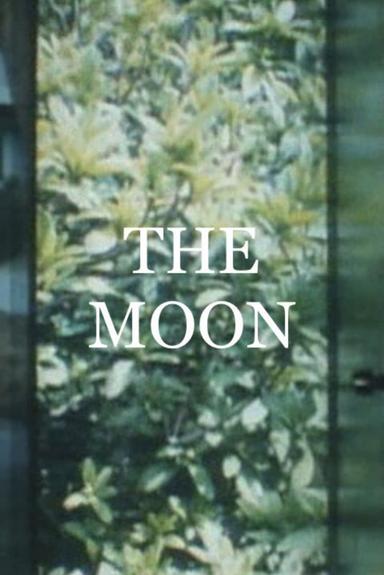 The Moon poster