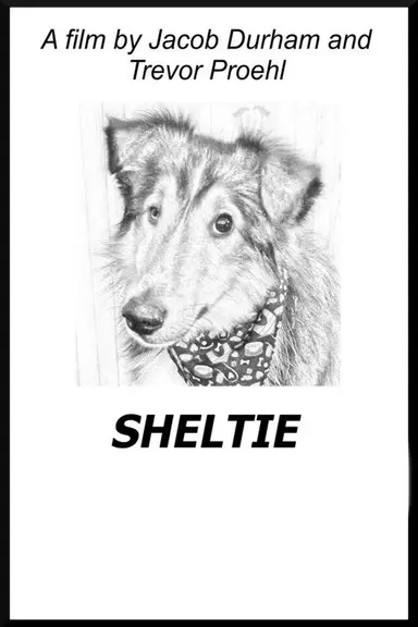 Sheltie poster