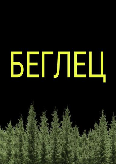 Stranger in the bush poster